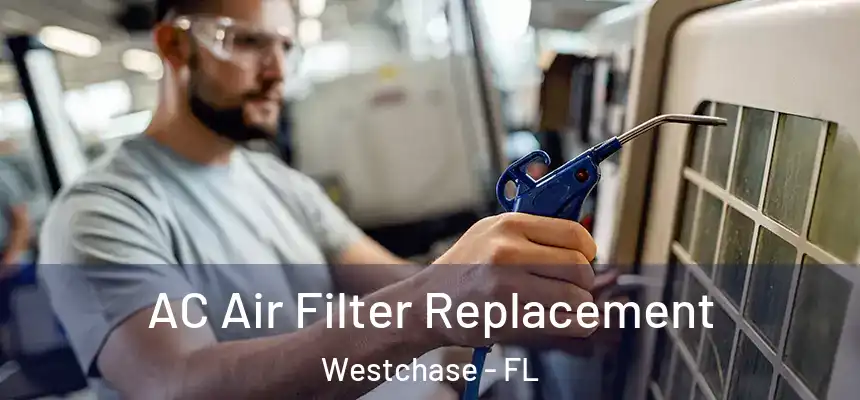 AC Air Filter Replacement Westchase - FL