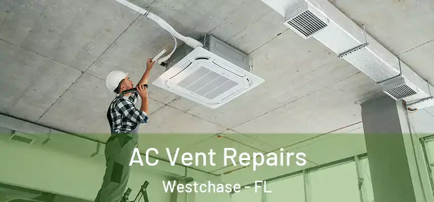 AC Vent Repairs Westchase - FL