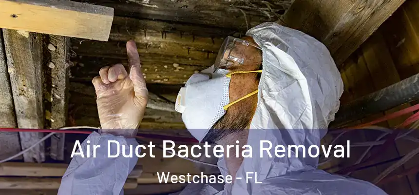 Air Duct Bacteria Removal Westchase - FL