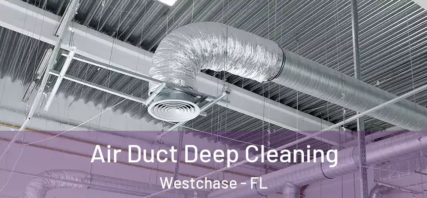 Air Duct Deep Cleaning Westchase - FL