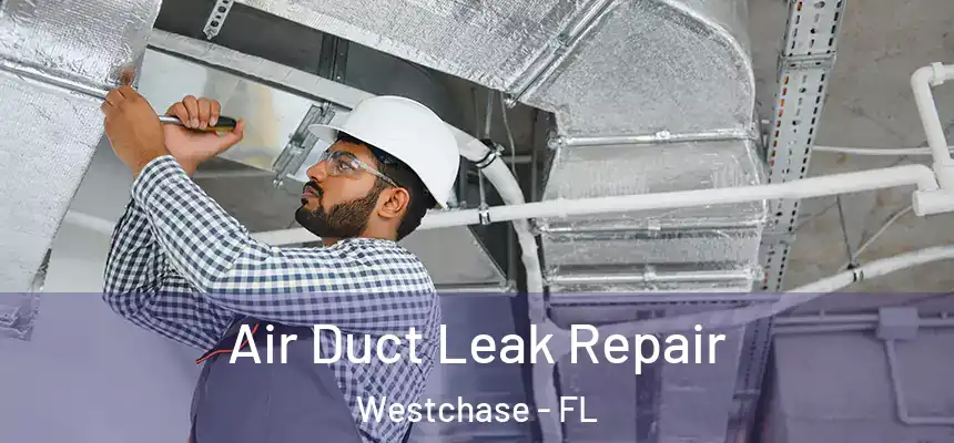 Air Duct Leak Repair Westchase - FL