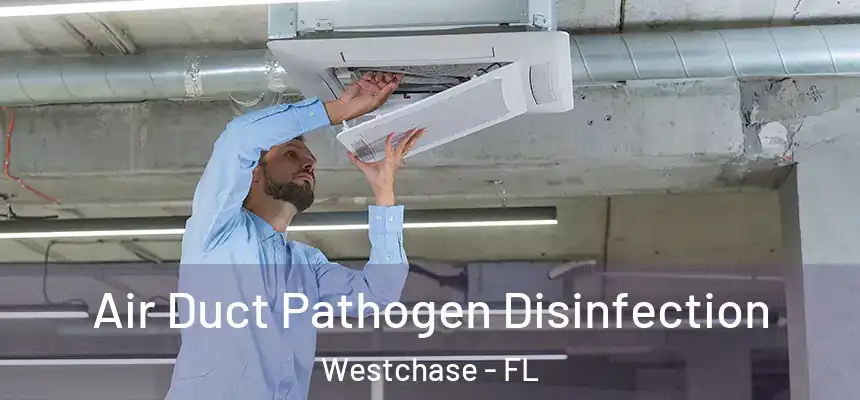 Air Duct Pathogen Disinfection Westchase - FL