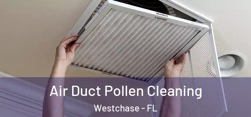Air Duct Pollen Cleaning Westchase - FL