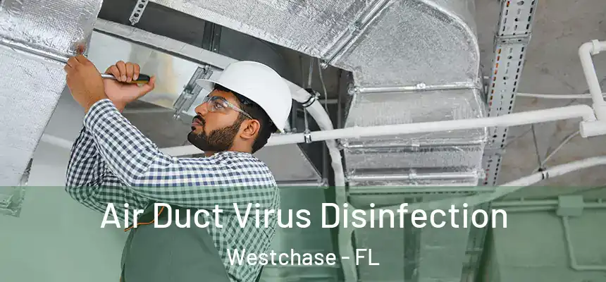  Air Duct Virus Disinfection Westchase - FL