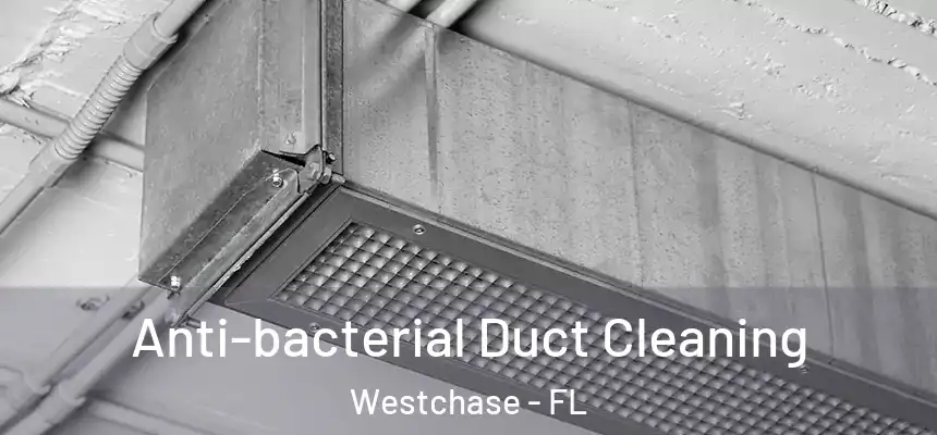  Anti-bacterial Duct Cleaning Westchase - FL