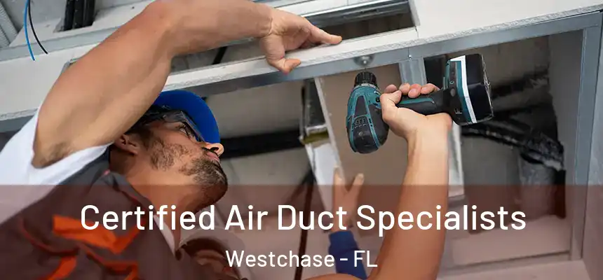  Certified Air Duct Specialists Westchase - FL