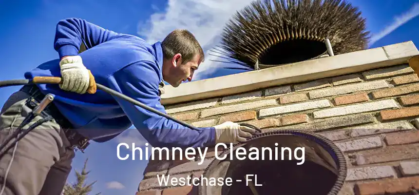  Chimney Cleaning Westchase - FL