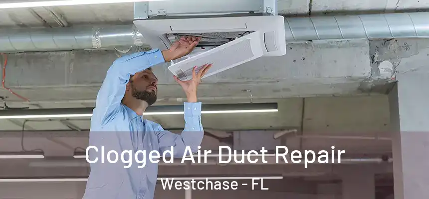  Clogged Air Duct Repair Westchase - FL