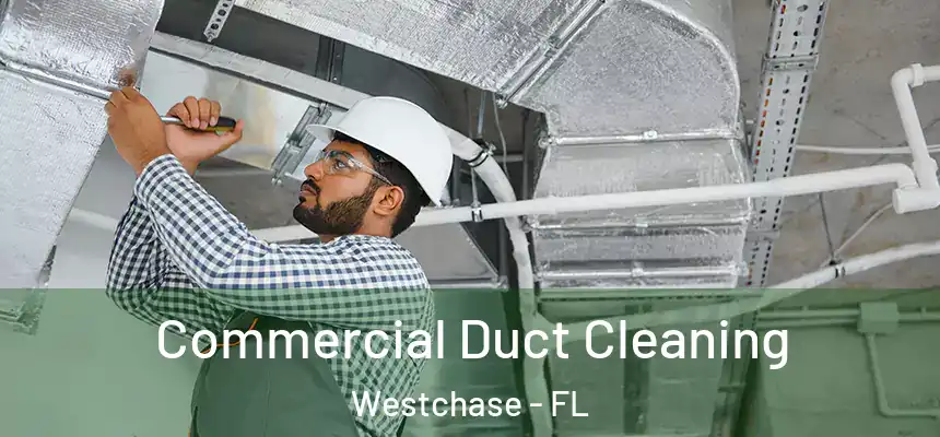 Commercial Duct Cleaning Westchase - FL