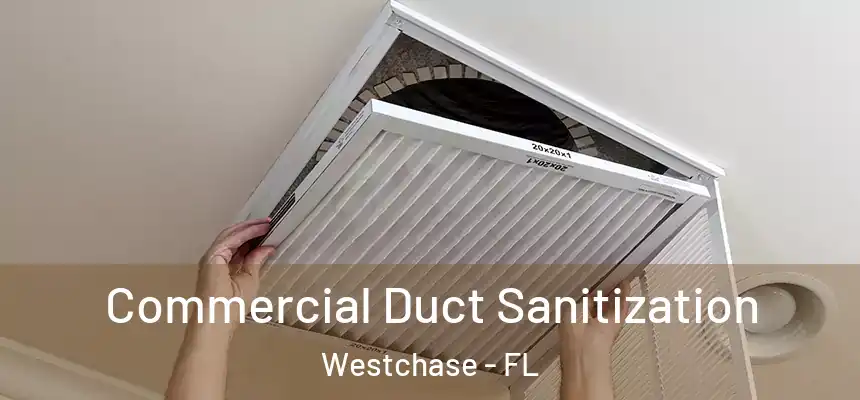 Commercial Duct Sanitization Westchase - FL