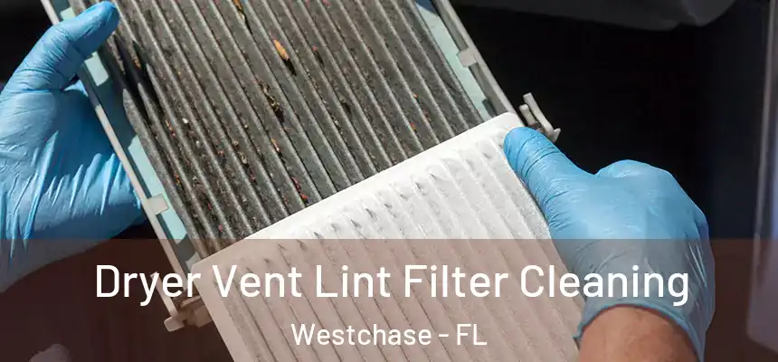 Dryer Vent Lint Filter Cleaning Westchase - FL