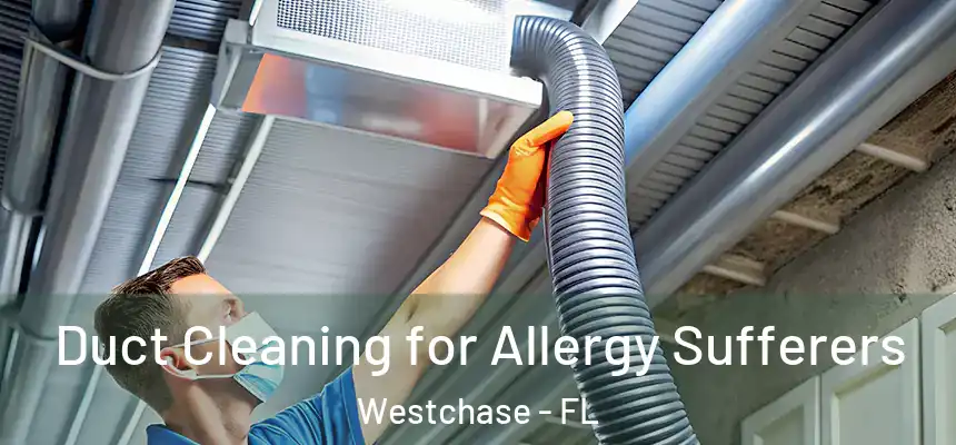 Duct Cleaning for Allergy Sufferers Westchase - FL