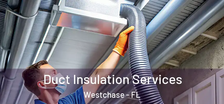 Duct Insulation Services Westchase - FL