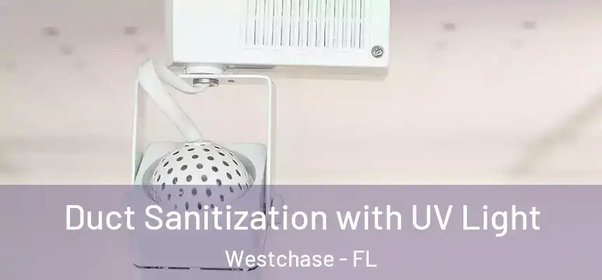 Duct Sanitization with UV Light Westchase - FL