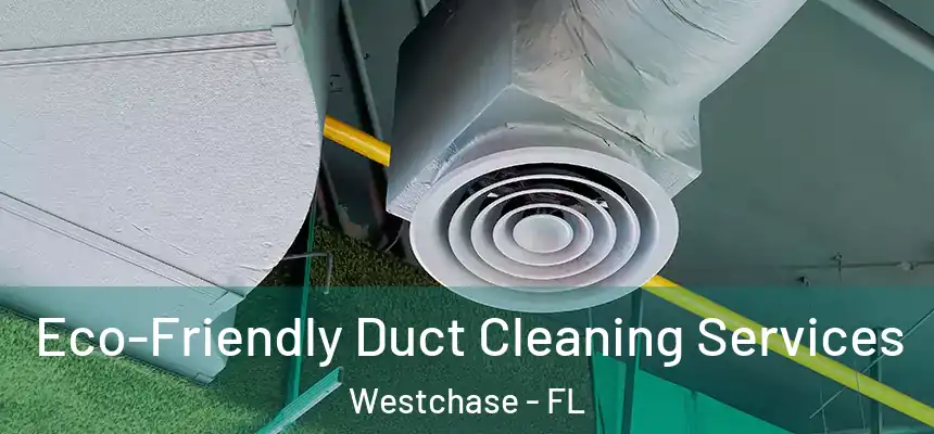  Eco-Friendly Duct Cleaning Services Westchase - FL