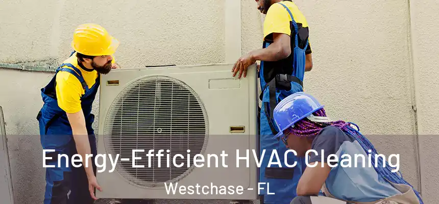 Energy-Efficient HVAC Cleaning Westchase - FL