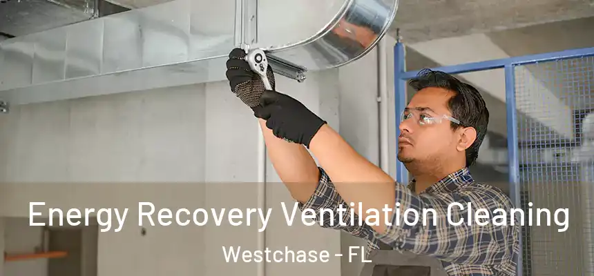  Energy Recovery Ventilation Cleaning Westchase - FL