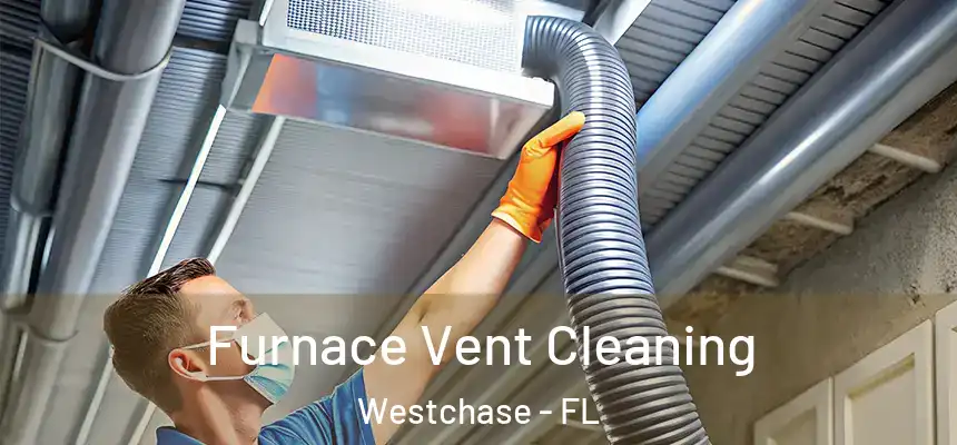 Furnace Vent Cleaning Westchase - FL