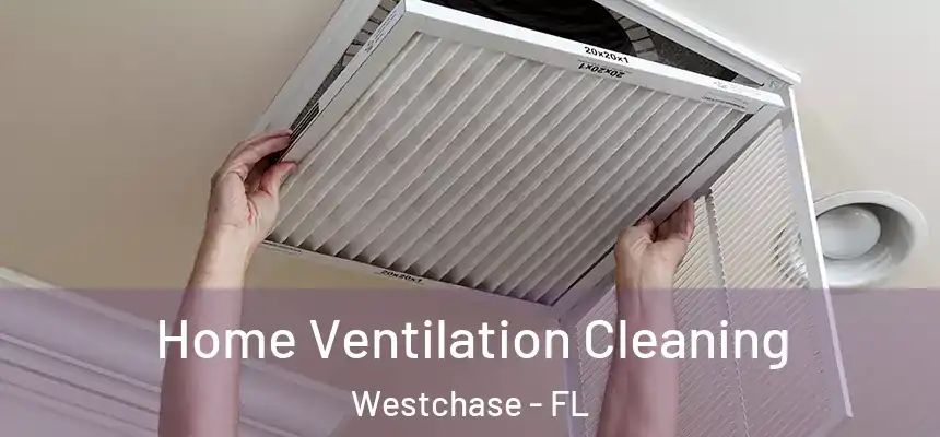  Home Ventilation Cleaning Westchase - FL