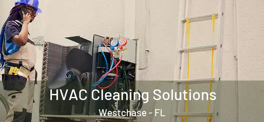  HVAC Cleaning Solutions Westchase - FL