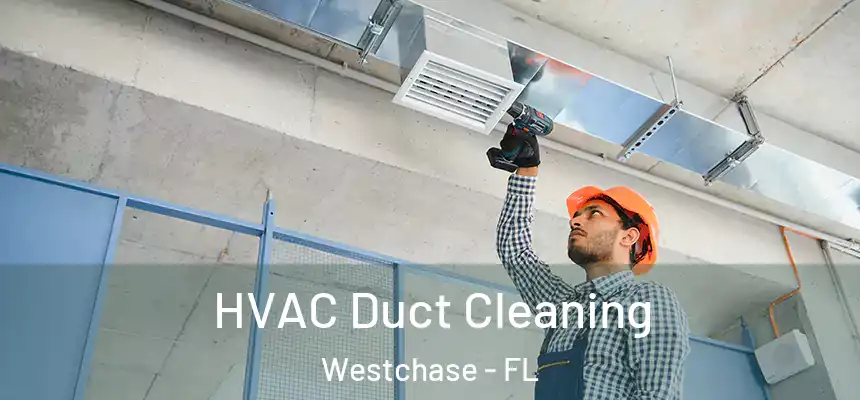 HVAC Duct Cleaning Westchase - FL