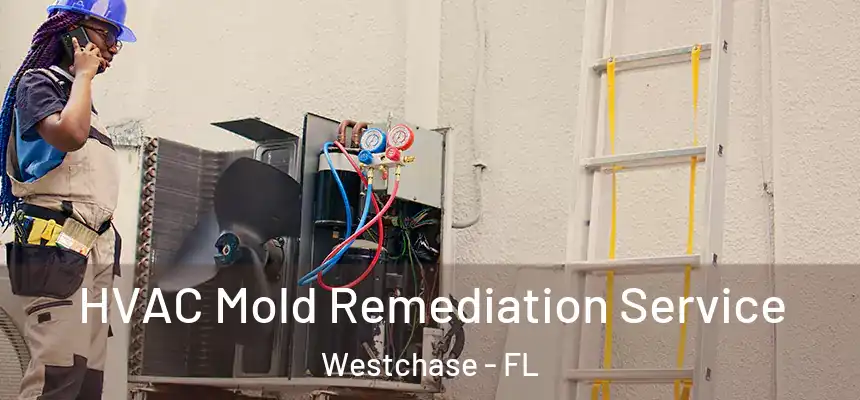 HVAC Mold Remediation Service Westchase - FL