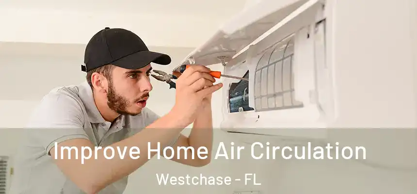 Improve Home Air Circulation Westchase - FL