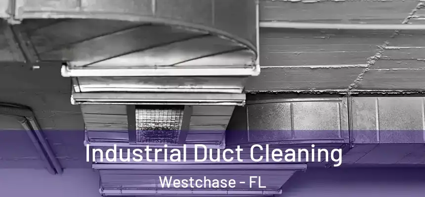Industrial Duct Cleaning Westchase - FL