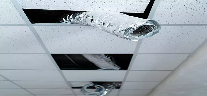 Affordable HVAC Sanitizing After Pest Removal in Westchase