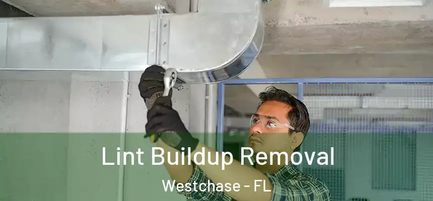 Lint Buildup Removal Westchase - FL