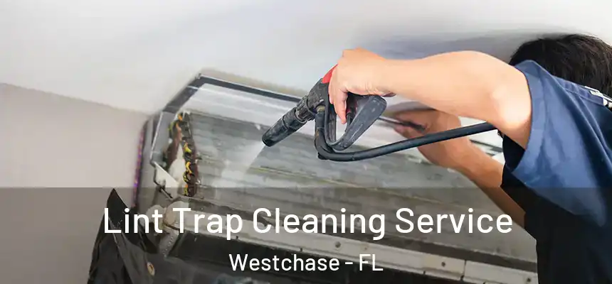 Lint Trap Cleaning Service Westchase - FL
