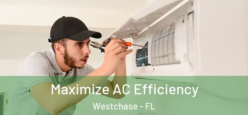 Maximize AC Efficiency Westchase - FL