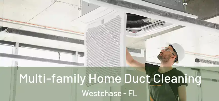  Multi-family Home Duct Cleaning Westchase - FL