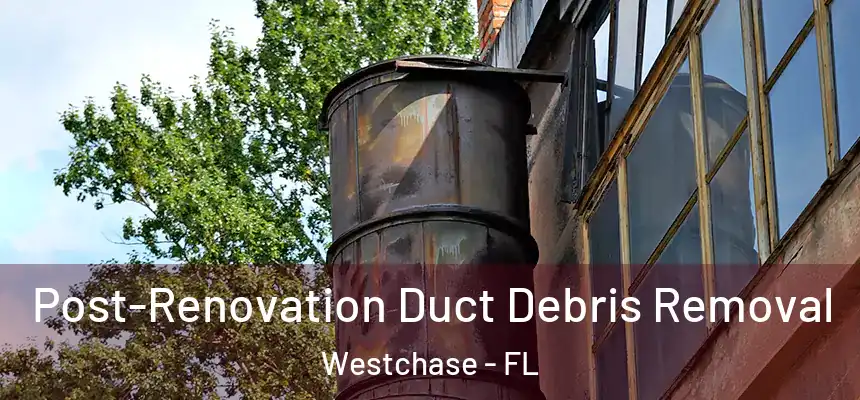 Post-Renovation Duct Debris Removal Westchase - FL
