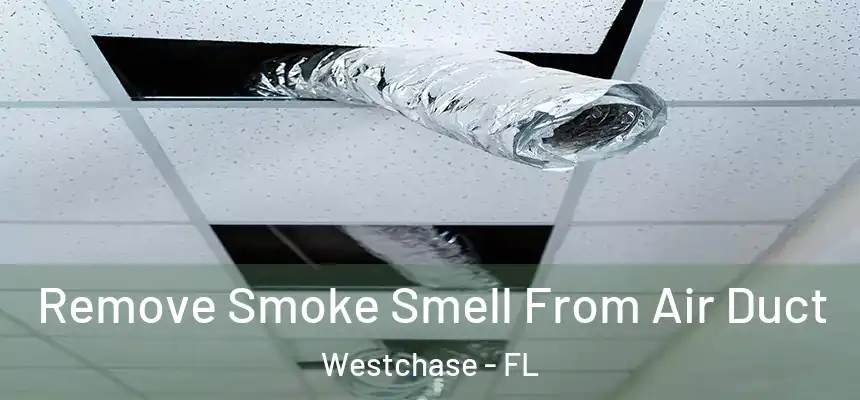 Remove Smoke Smell From Air Duct Westchase - FL