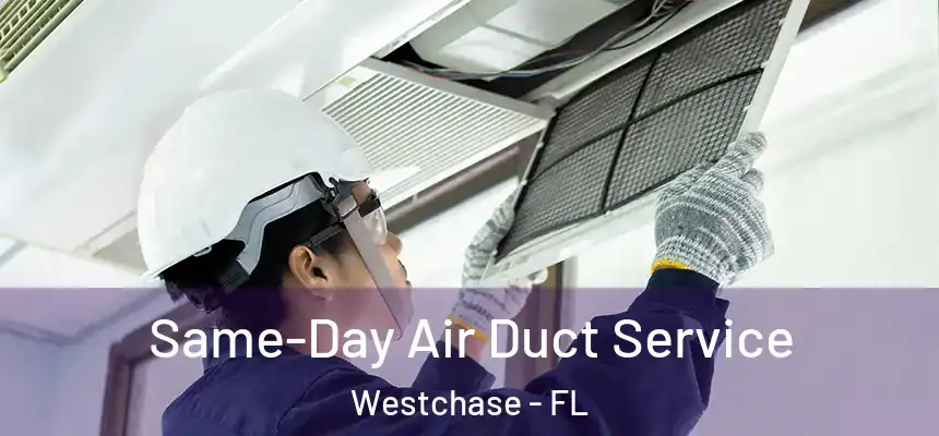 Same-Day Air Duct Service Westchase - FL