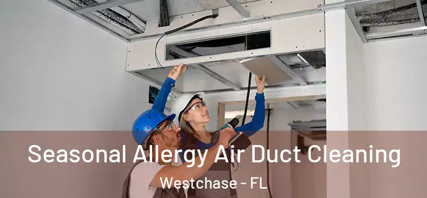 Seasonal Allergy Air Duct Cleaning Westchase - FL