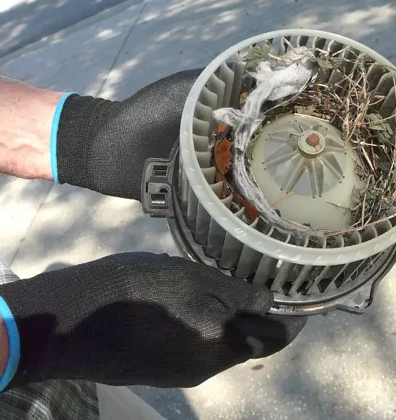 About Air Duct Rat Removal in Westchase, FL