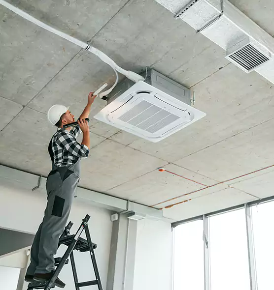 Advanced Pest Removal From Ducts in Westchase, FL