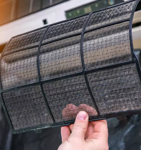 About Pet Dander Duct Cleaning in Westchase, FL