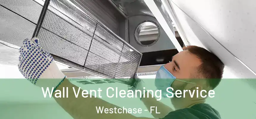Wall Vent Cleaning Service Westchase - FL